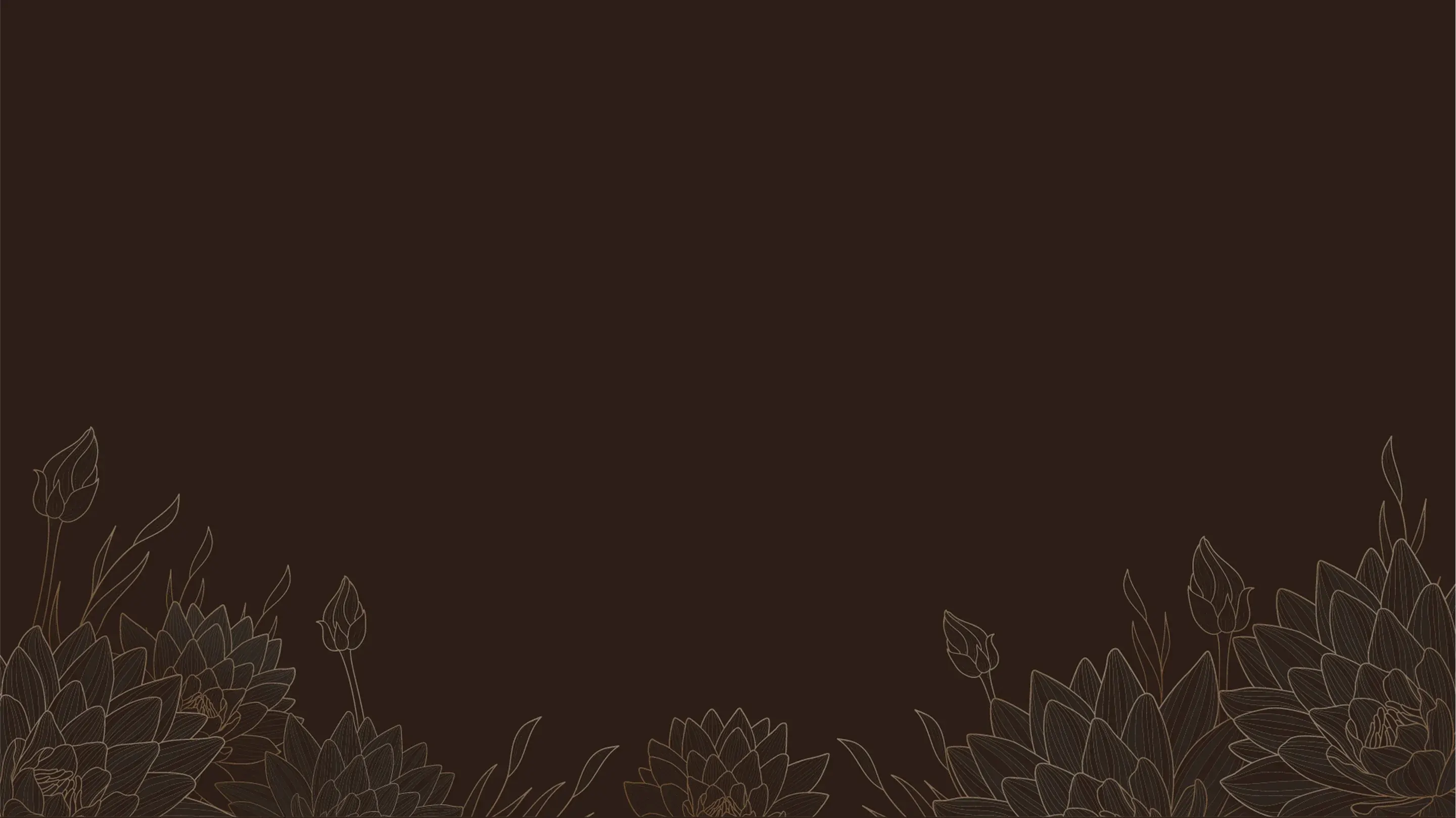 Splash Background